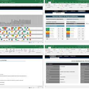 Matriz de Asignación de Responsabilidades (RACI) En Excel