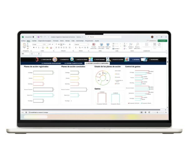 Plantilla de diagnóstico empresarial en Excel