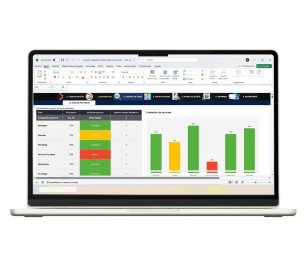 Solución de diagnóstico empresarial en Excel